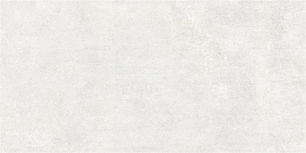 60x120 Ньюкон Белый Матовый R10A